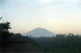 Agunn