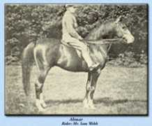 Ahmar