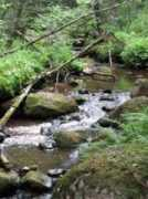 Ahponen