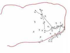 danshipsides.com Aigule