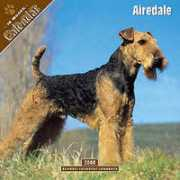 Airdale