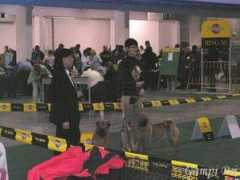 gampi-pei.com Airiny