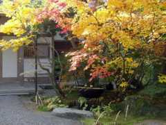 Ajabe