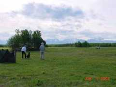 fairbanksretrieverclub.org Akkola