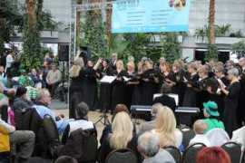 smm.lt Akulic