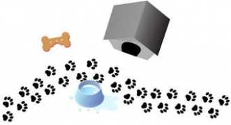 dailypuppy.com Akurt