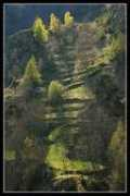 pl.trekearth.com Alabate