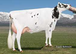 holsteinworld.com Alaisha