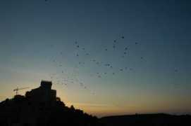 panoramio.com Alarcon