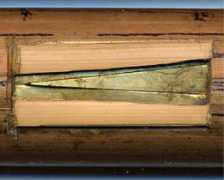 patmissin.com Alareed