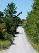 beausoleilcurvelake.ca Albeert