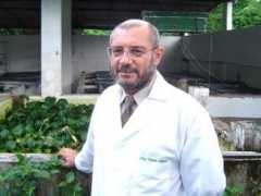 medicinaveterinaria.ufba.br Albinati