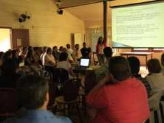 iflorestal.sp.gov.br Alcinea