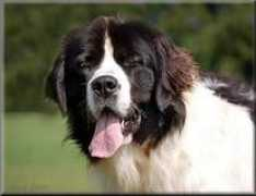 landseera.cz Aldanova