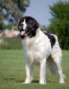 landseera.cz Aldanova