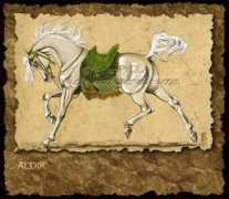 anne.piola.free.fr Aldir