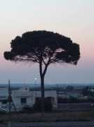 panoramio.com Alessano