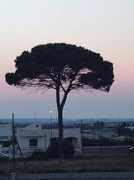 comune-italia.it Alessano