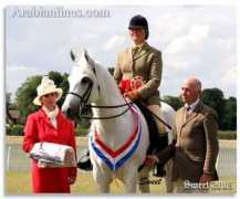 arabianlines.com Alghazzali