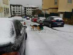 elcorreo.com Algorta