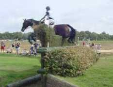 cyberhorse.net.au Algotson