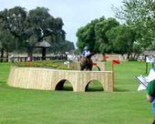 cyberhorse.net.au Algotson