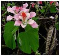 stuartxchange.com Alibangbang