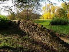 pilt.delfi.ee Alienna