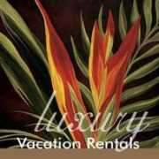 poipukapili54.com Alihi