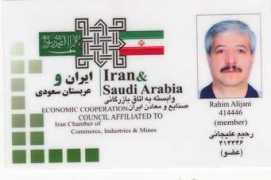 tumbledtravertine.biz Alijani