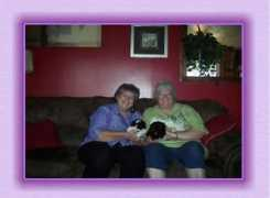 chappelsforeverlovedshihtzus.com Alimae