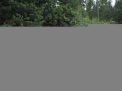 fotothing.com Alisina