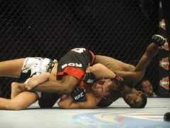 usatoday.com Aljamain