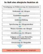 gsund-bliibe.ch Allerie