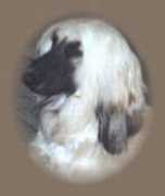 romdogs.tripod.com Aloiza