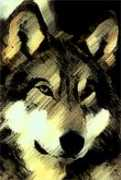 Alonewolf
