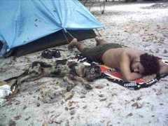 triptobrazil.com Alonni