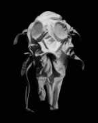imagesagainstwar.com Althouse