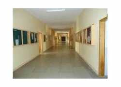 blog.milliyet.com.tr Altunya