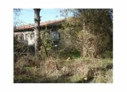 blog.milliyet.com.tr Altunya