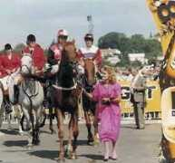thoroughbrednet.co.nz Alynda