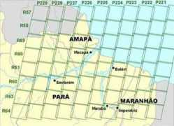 Amazonne