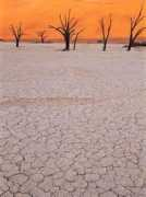 nationalgeographic.it Ambientale