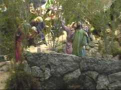 fotos.navidaddigital.com Ambiente