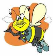 usd218.org Ambrosier