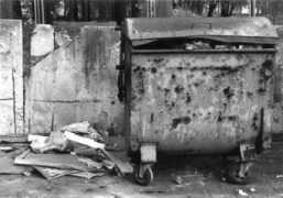 forumakad.pl Ambrozewicz