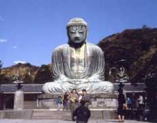Amidha