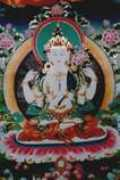 Amidha