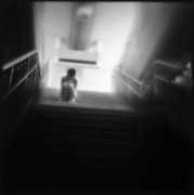 photographersgallery.com Amidst