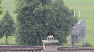 fotolog.com Amiguinhos